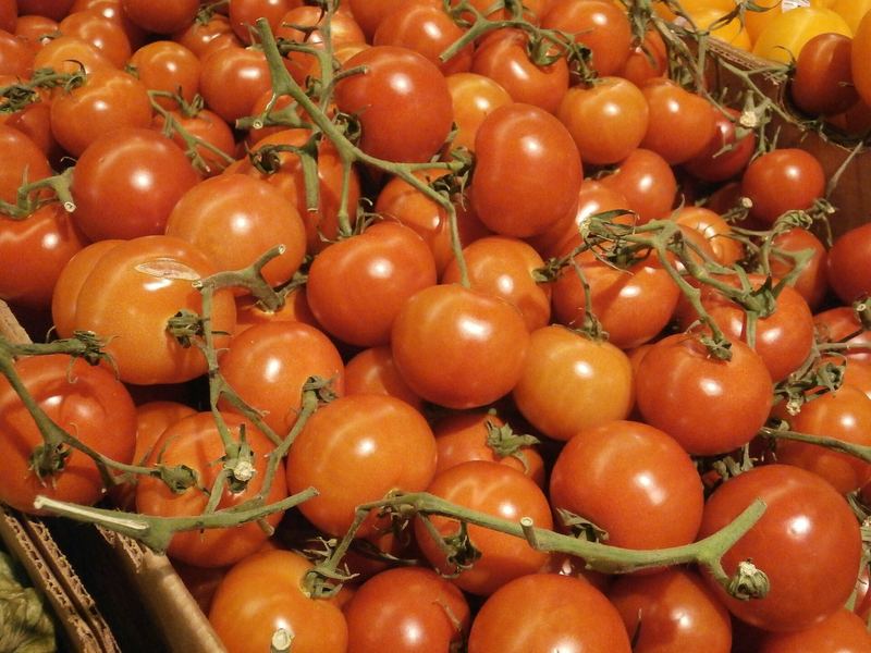Tomates maduros en rama